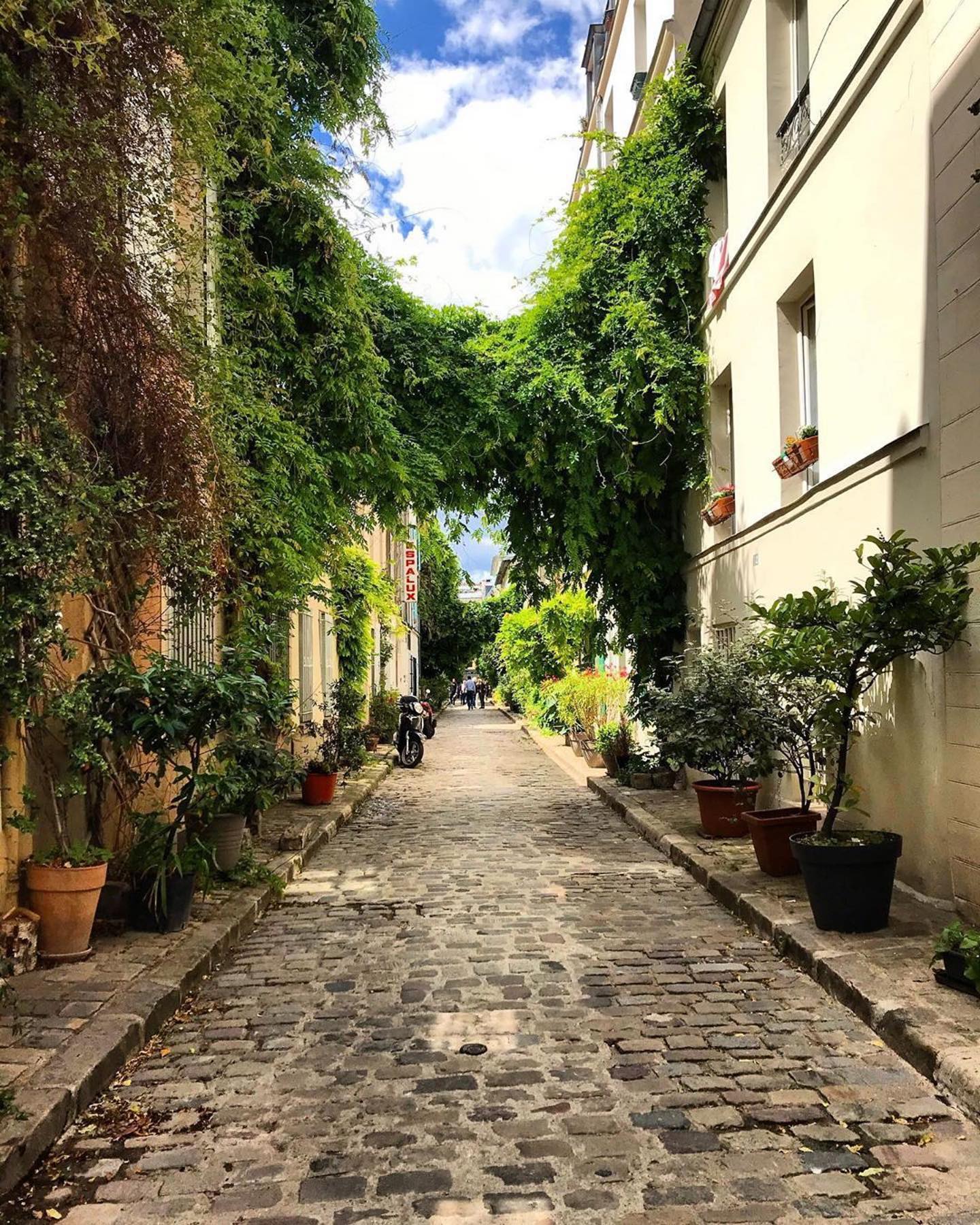 Rue typique du quartier Plaisance Paris 14
